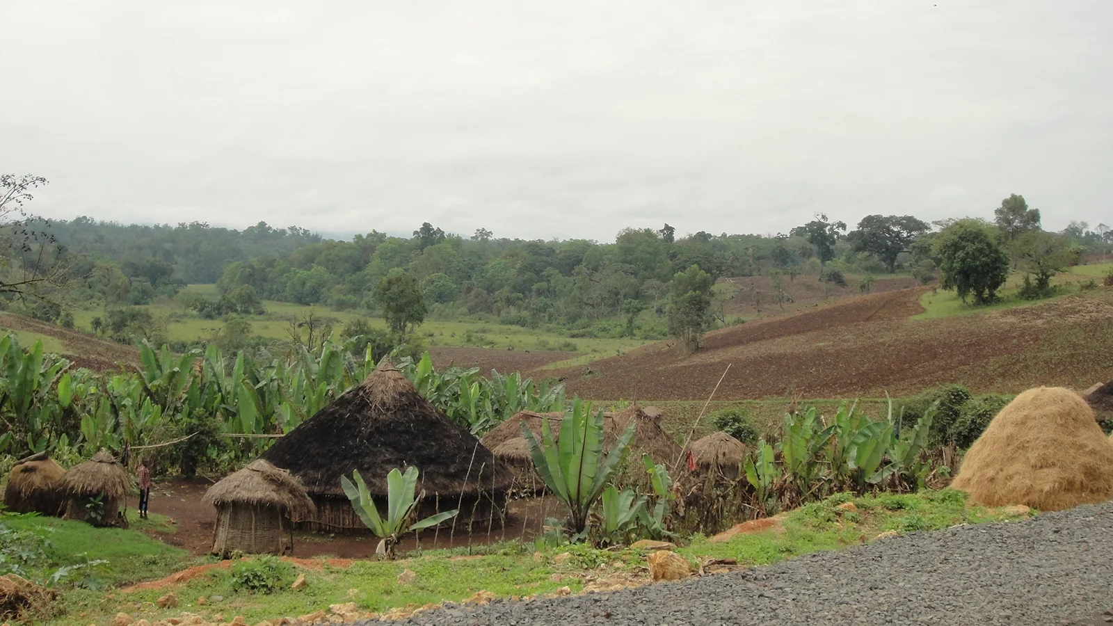 Uganda Gombe
